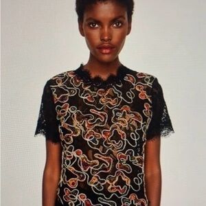 Zara lace 3D embroidered blouse.